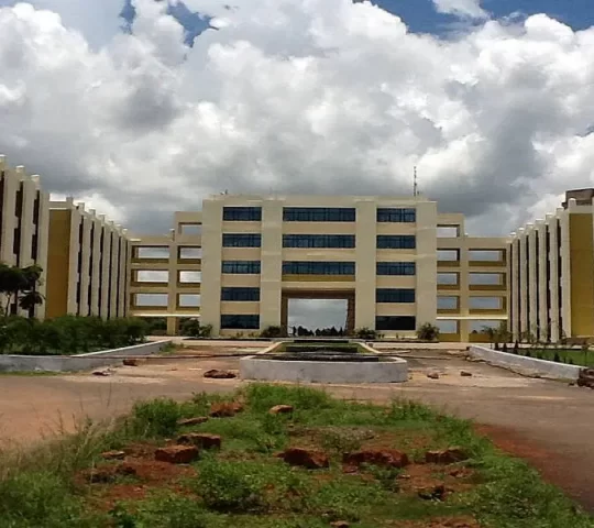 International Institute Of Information Technology Bhubaneswar